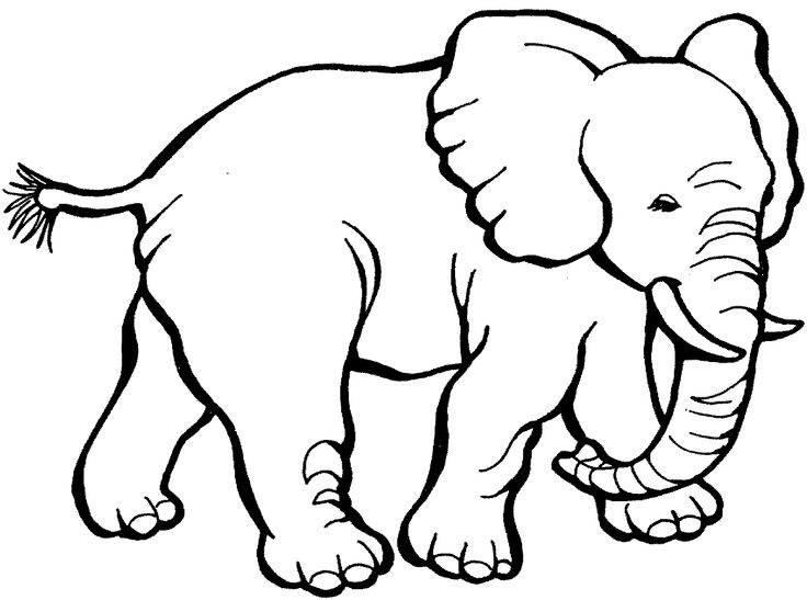 Elephants Step By Step Drawing