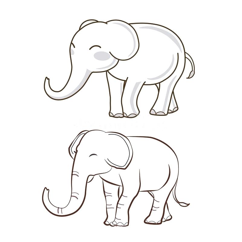 800x800 Elephant Drawing Outline How To Draw An Elephant Step By Step