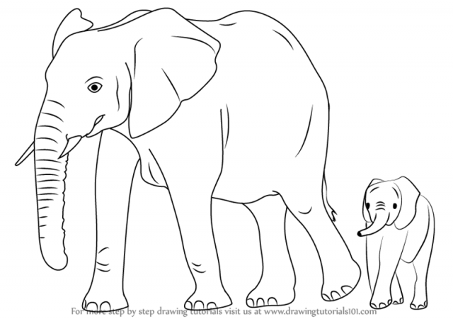 640x450 The How To Draw A Elephant Images