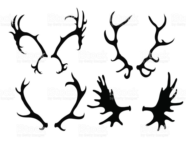 736x576 The Best Elk Horns Ideas On Elk Antlers, Candle