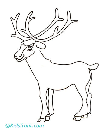 360x440 Best Photos Of Elk Template Printable