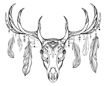 450x368 Contour Illustration Of A Deer Skull With Antlers And Feathers