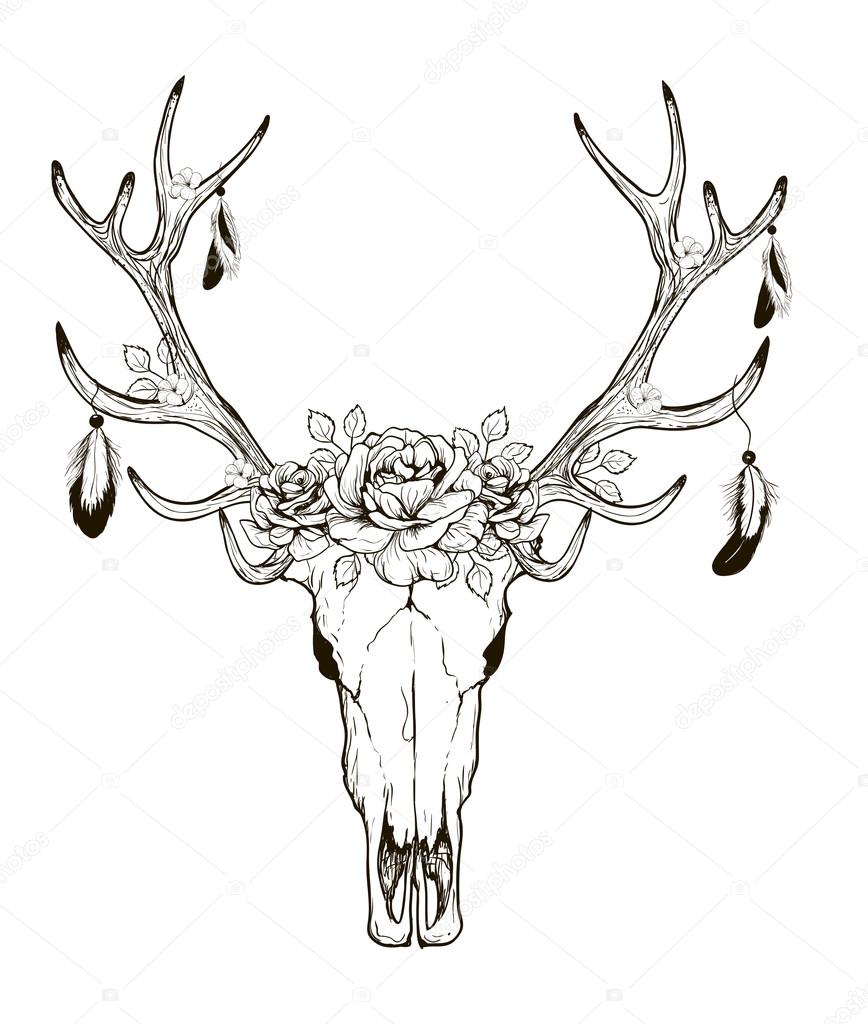 868x1024 Deer Skull Vector Stock Vector Lviktoria25