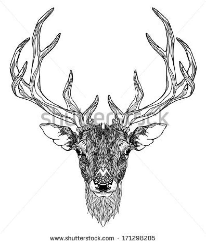 718x852 Popular Elk Antler Chandelier Psychedelic Stock Photos Images Amp