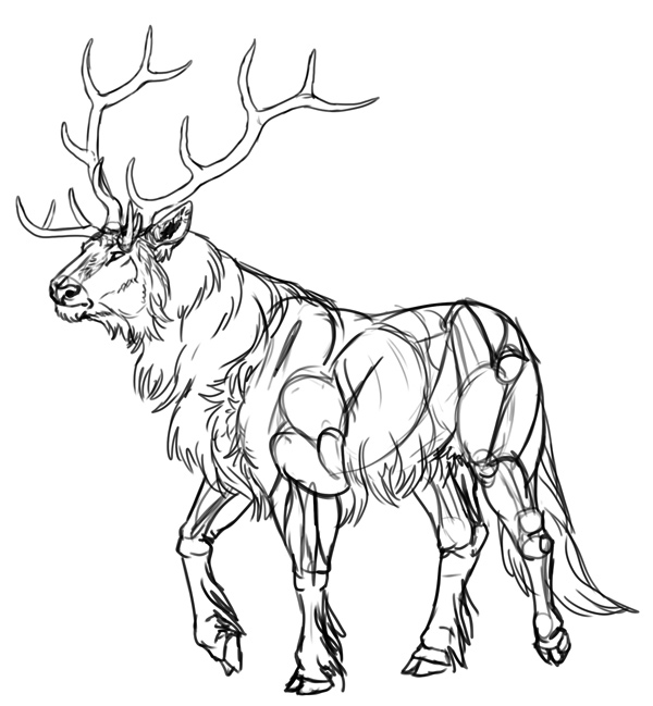 600x649 How To Draw Creatively Using Photo References