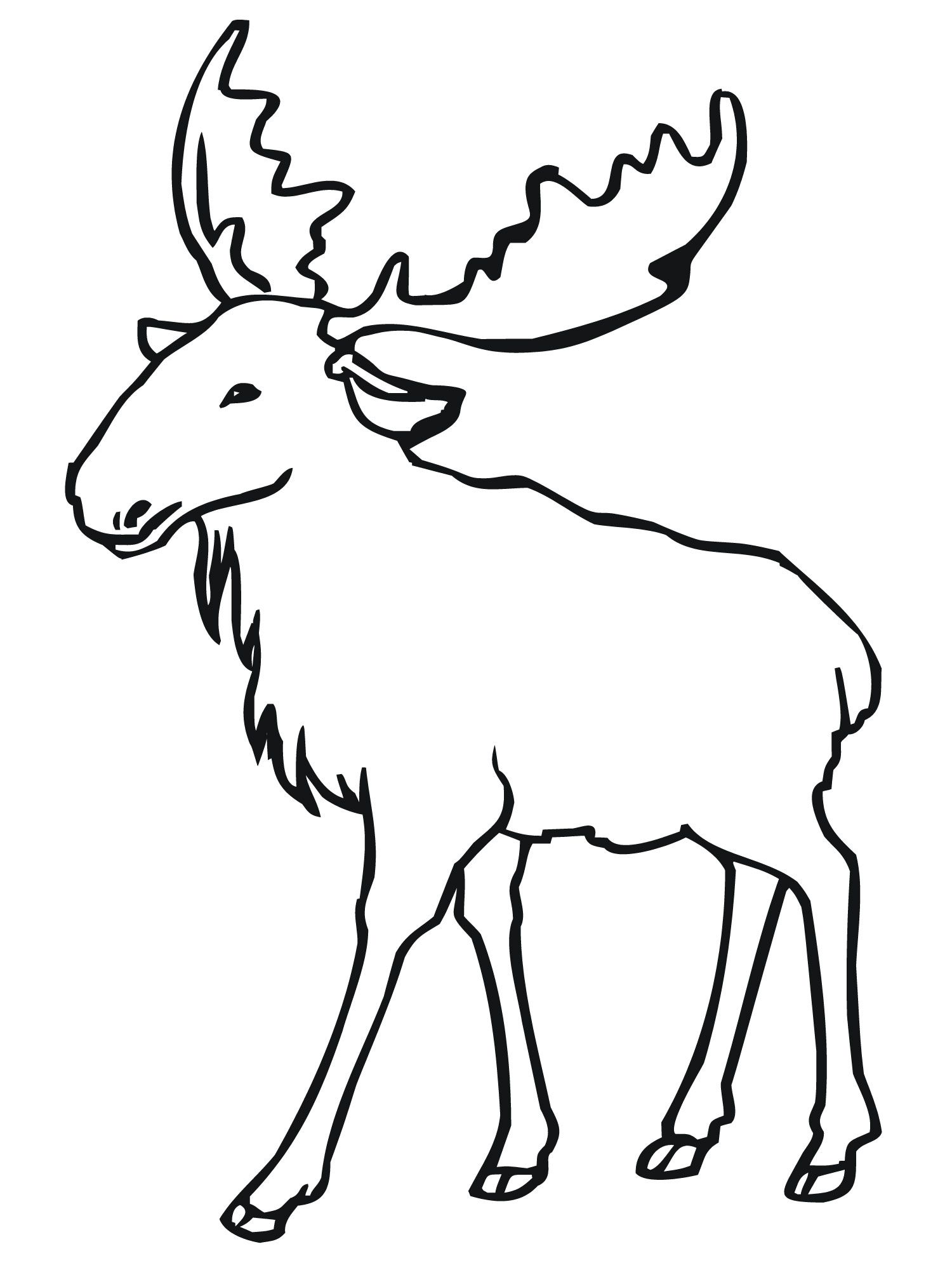 1500x2000 Drawn Moose Taiga Animal