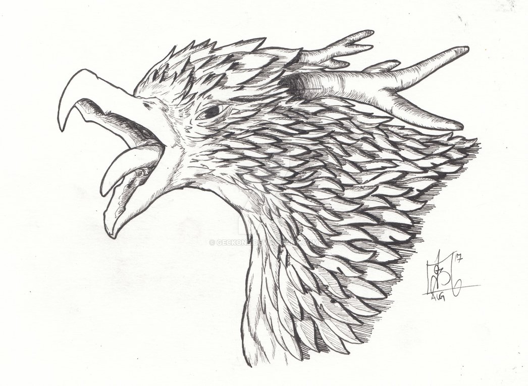 1046x764 Elk Bird By Geckone