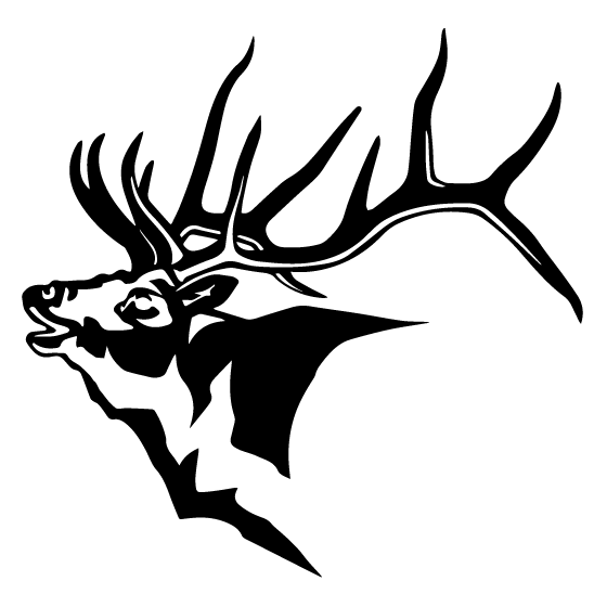560x560 Moose Head Drawing Many Interesting Cliparts