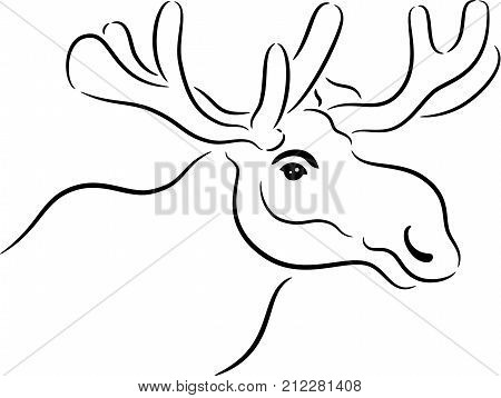 450x358 Moose Images, Illustrations, Vectors