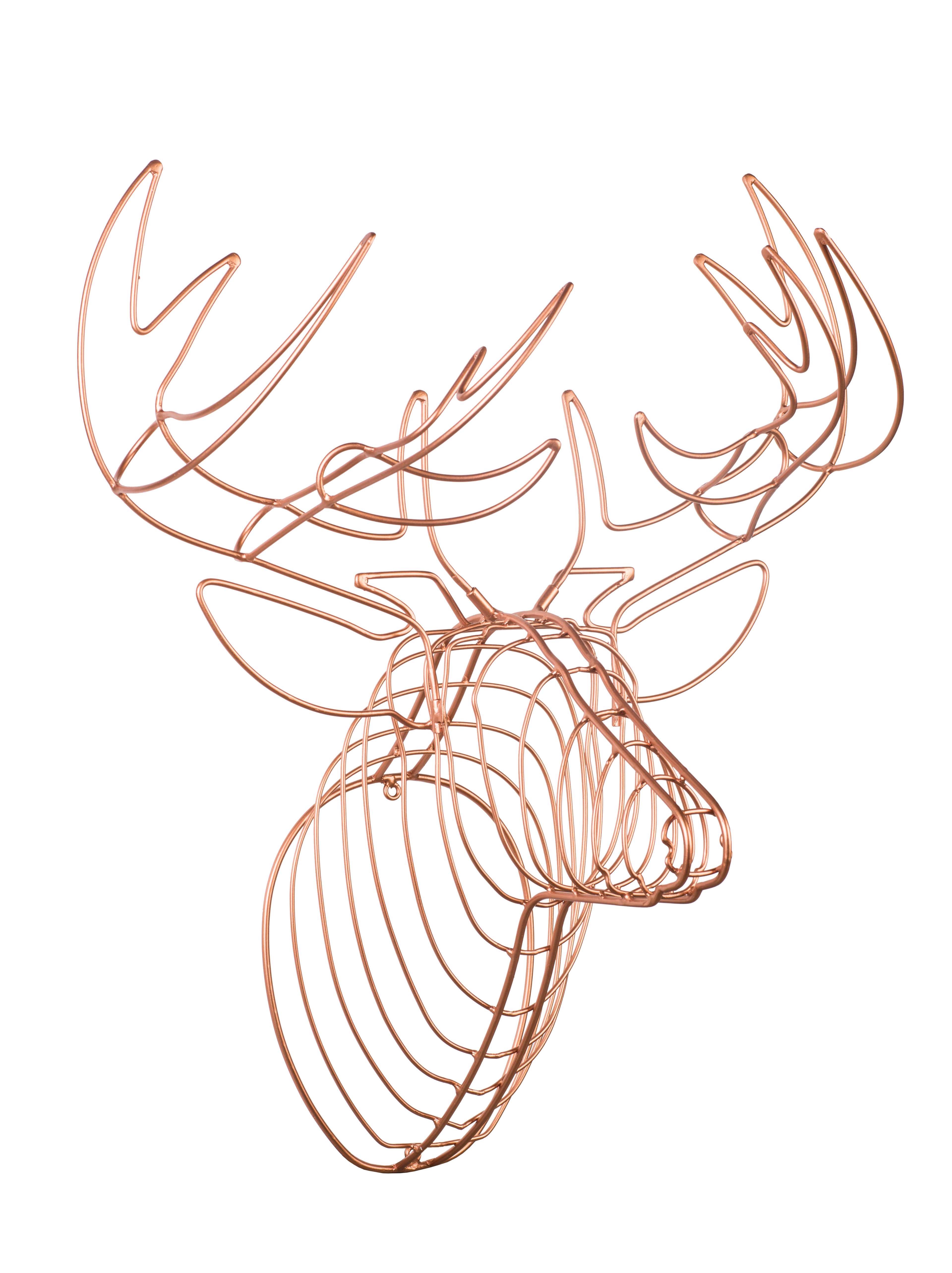 3840x5134 Trophy Head A.garcia Crafts