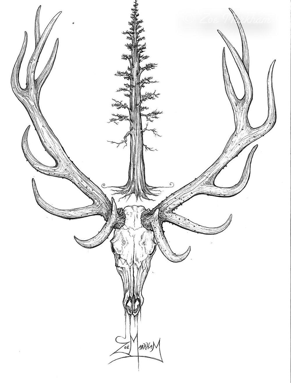 1000x1317 Drawings Slightly Savage Arts