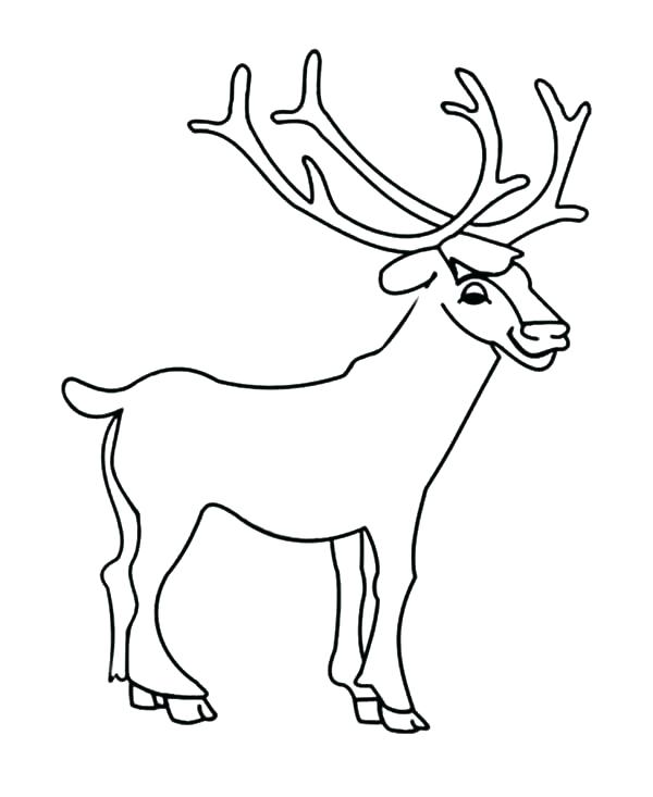 600x733 Elk Coloring Pages