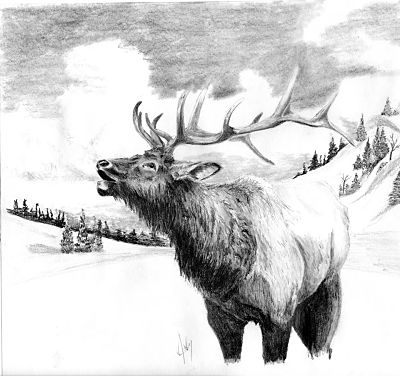 400x376 Jim Ardery, Artist, Gallery By The James, Buchanan, Va