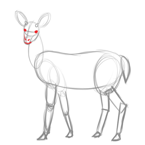 500x500 Pencil Sketches And Drawings How To Draw A Deer