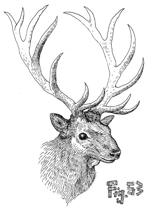 532x726 Robotic Arms Press Prints An Shit By Nick Francel July 2011