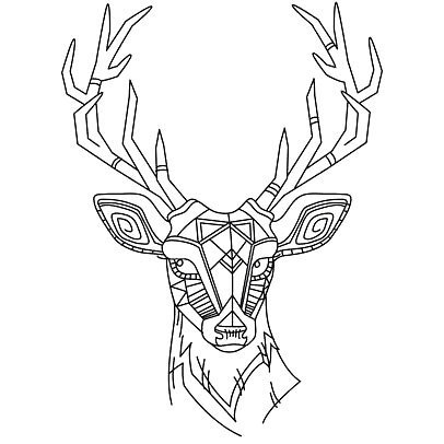 Elk Skull Drawing