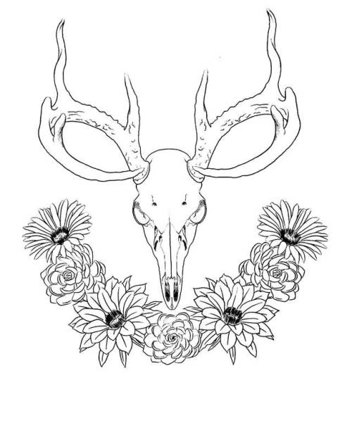 500x601 Deer Skull Drawing Tumblr