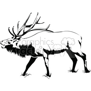 Elk Skull Drawing at GetDrawings.com | Free for personal use Elk Skull