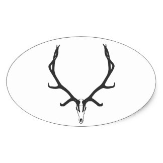 324x324 Whitetail Deer Skull Stickers Zazzle