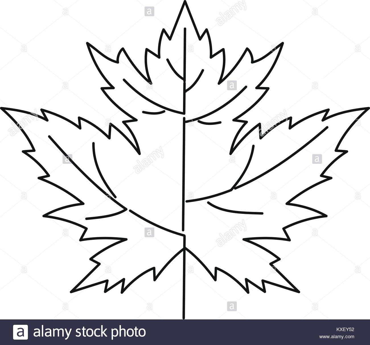 1300x1213 Elm Tree Black And White Stock Photos Amp Images