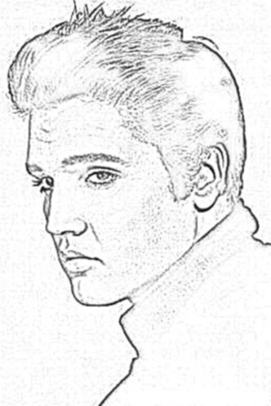 530x795 Elvis