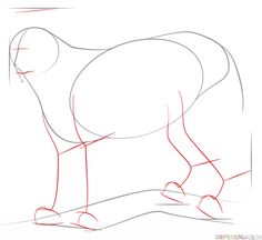 236x216 How To Draw A Bobcat Step By Step. Drawing Tutorials For Kids