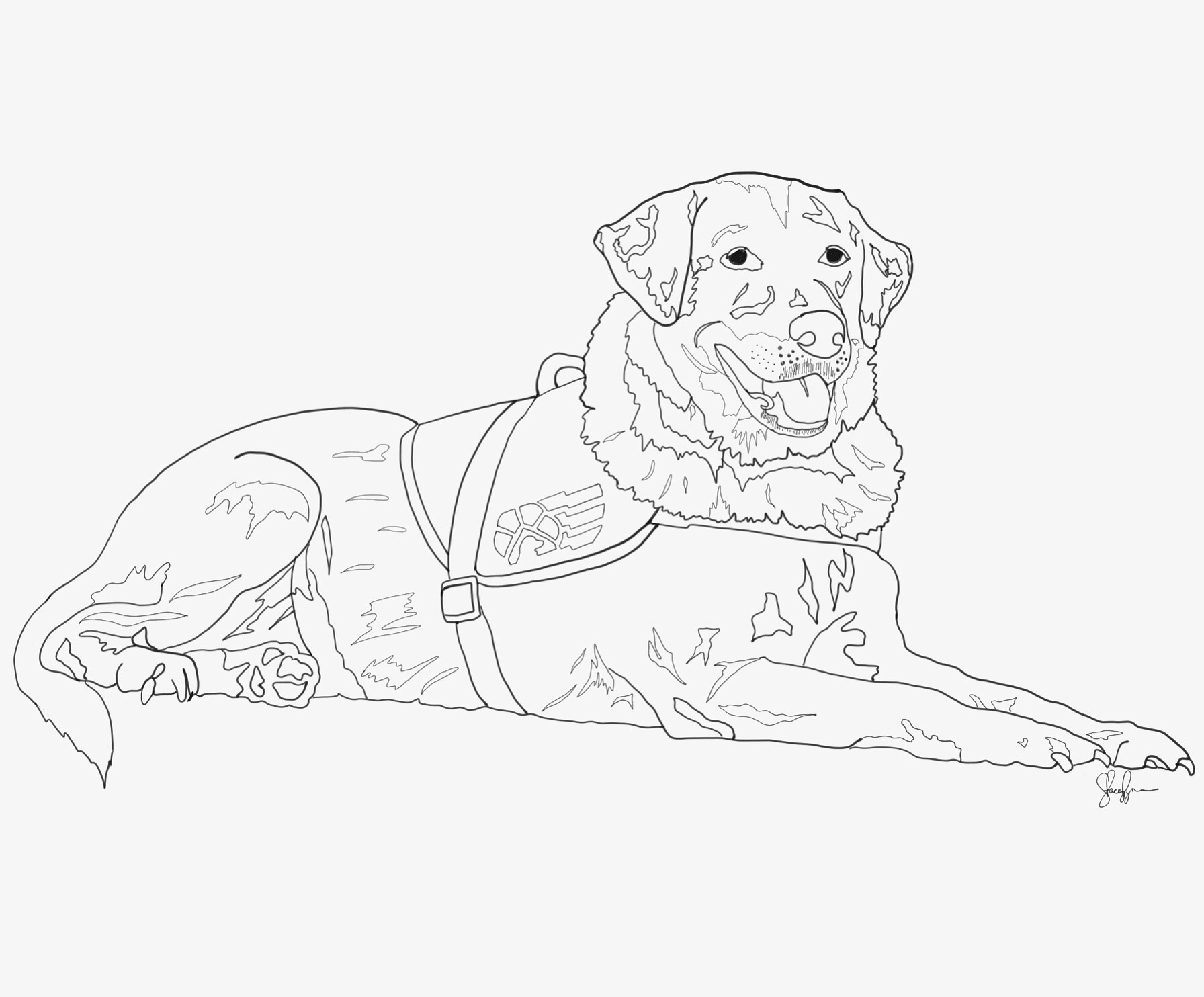 1792x1484 Custom Service Dog Drawing. Email