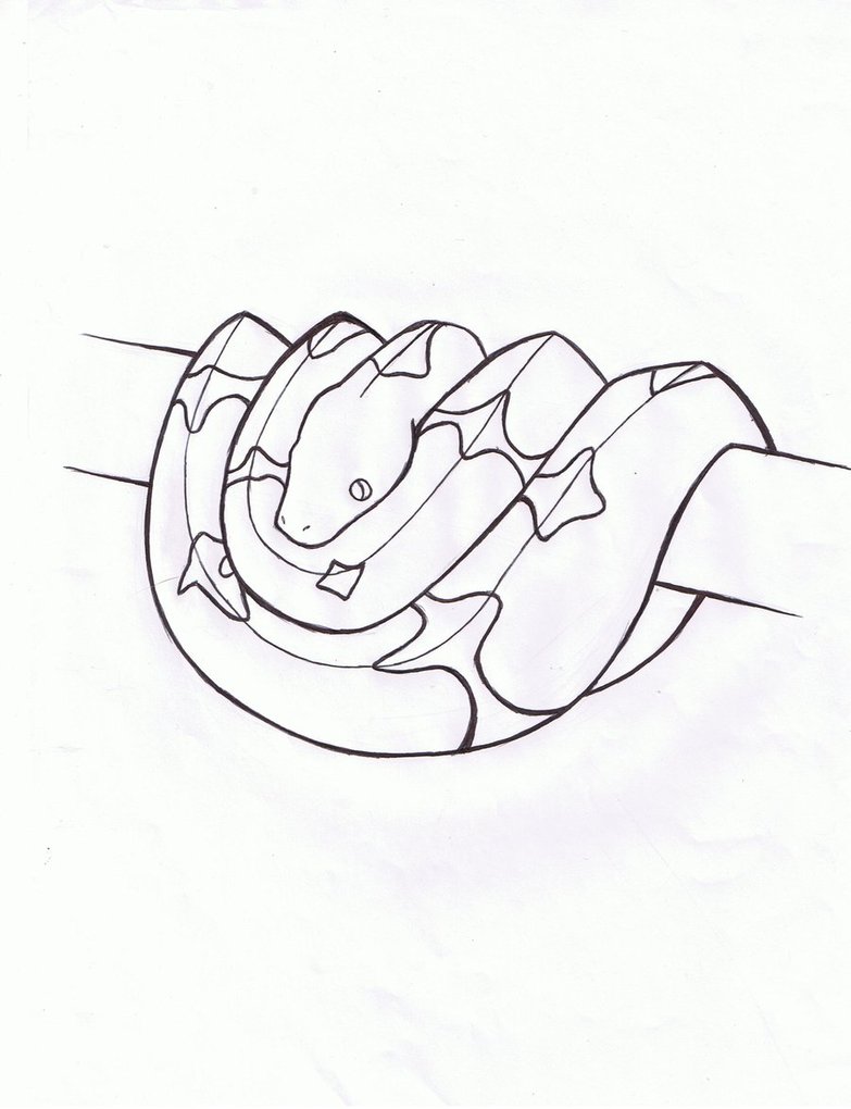 783x1020 Tree Boa By Banana Balls