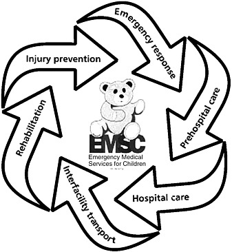 337x366 2 History And Current State Of Pediatric Emergency Care