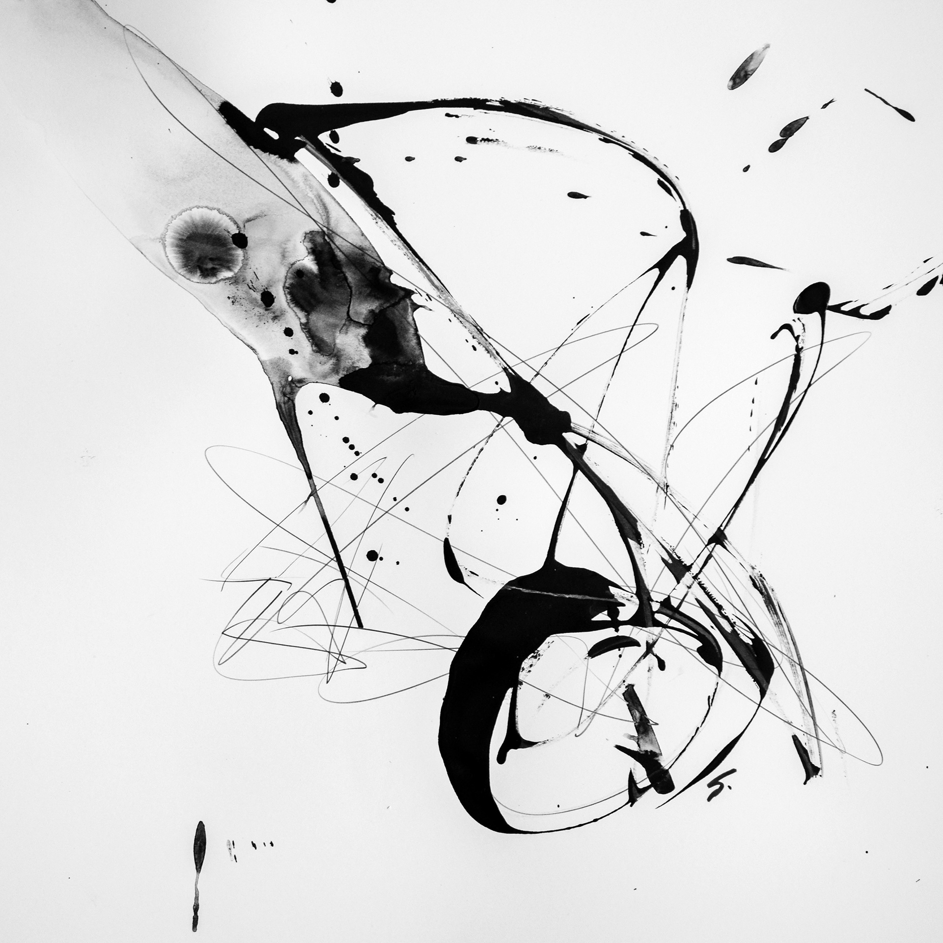 1920x1920 Lilush Experiment