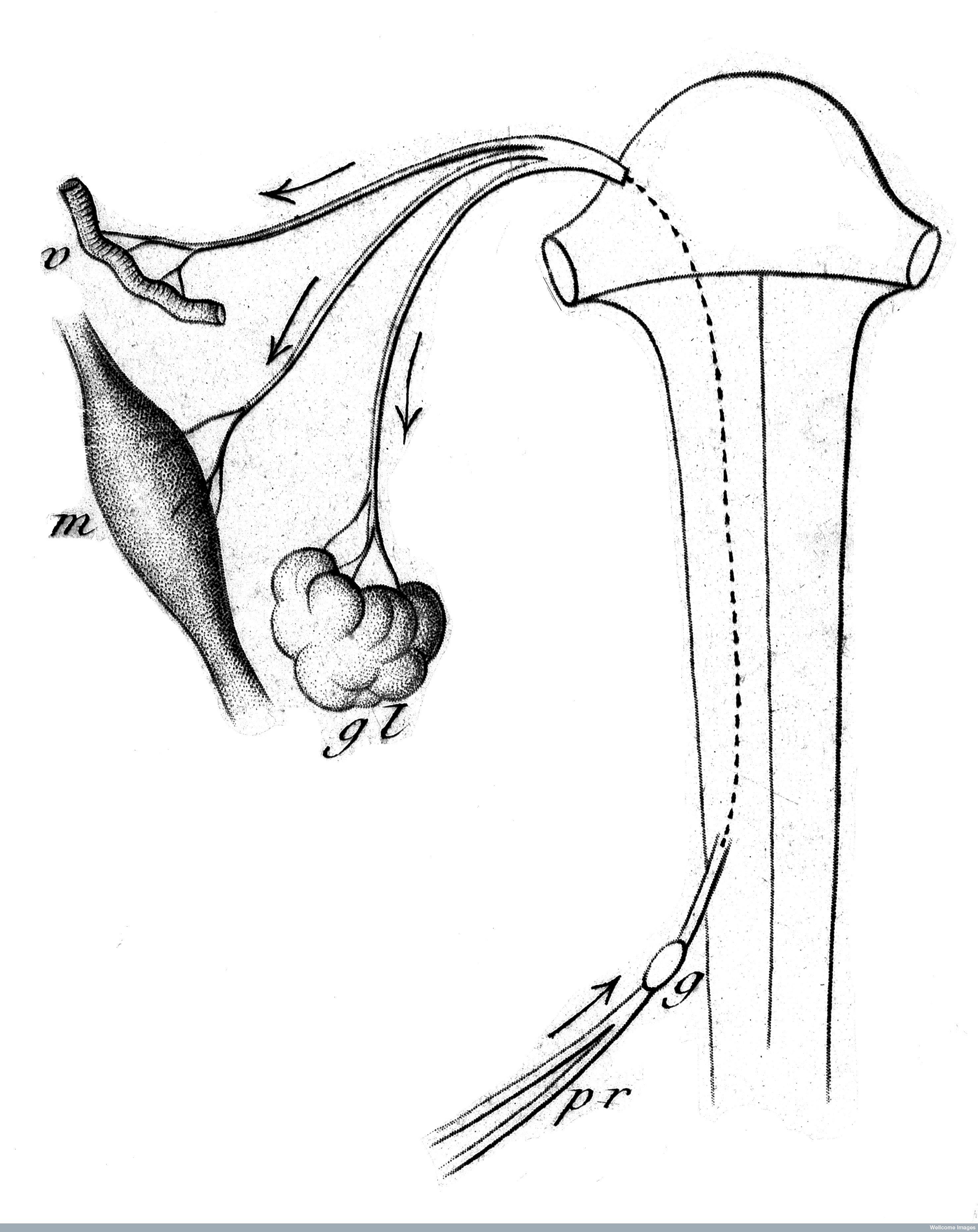 2952x3720 The History Emotions Blog Conversations About The History