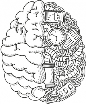 300x362 Health And Wellness Fire Fighting In Canada