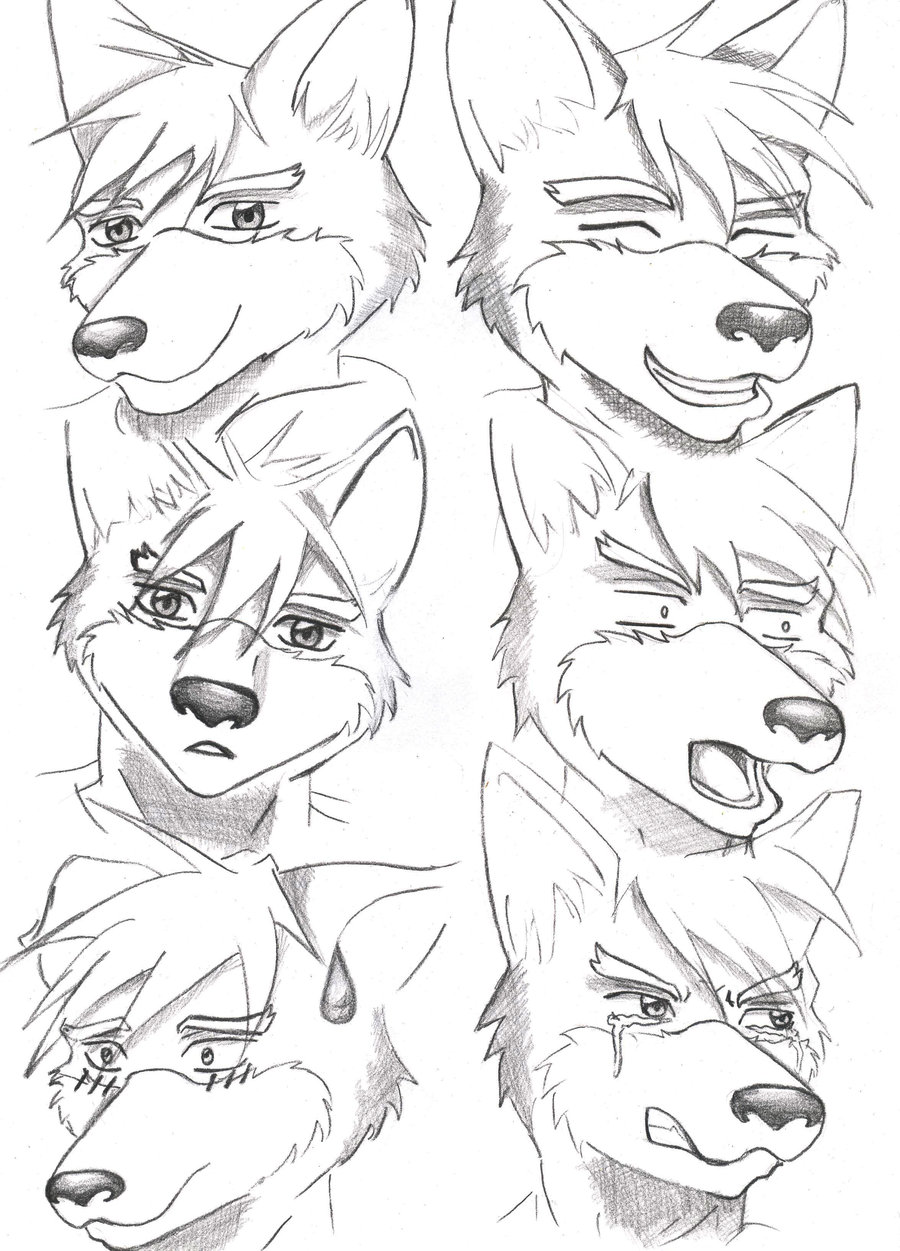 900x1251 Fox Emotions By Koreya Kun