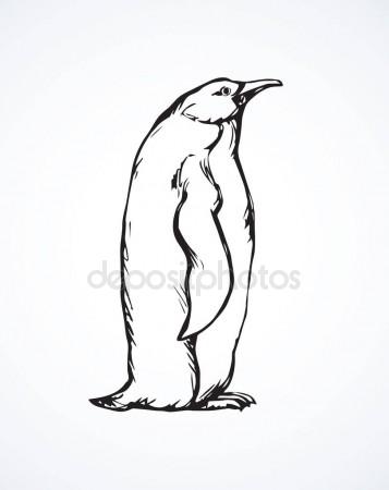 357x450 Emperor Penguin Side View Stock Vector Yvendienst
