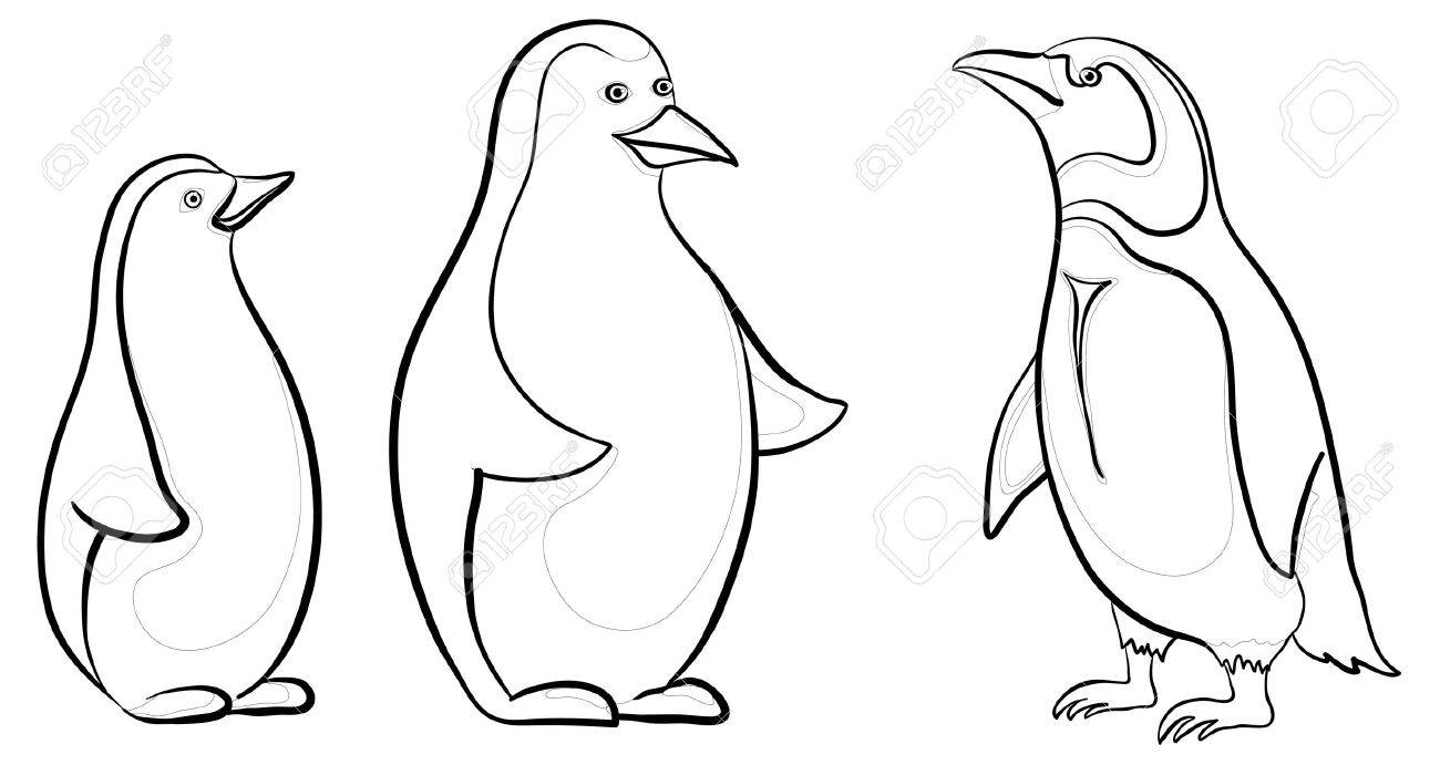 1300x691 Antarctic Emperor Penguins, Black Contours On White Background