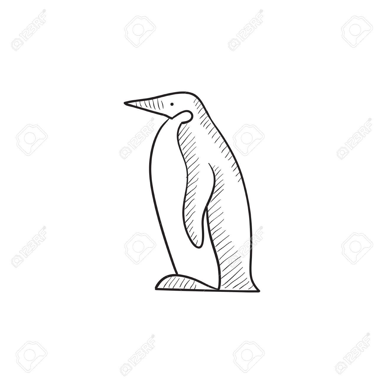 1300x1300 Penguin Vector Sketch Icon Isolated On Background. Hand Drawn