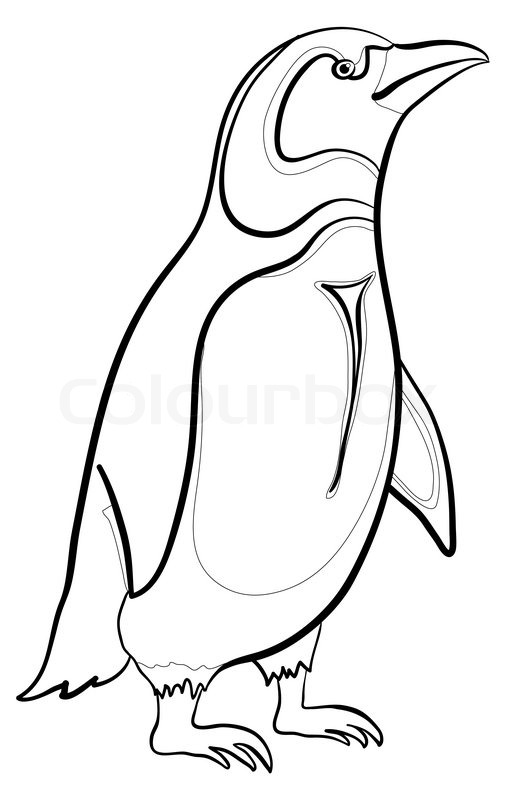 507x800 Antarctic Emperor Penguin, Black Contours On White Background