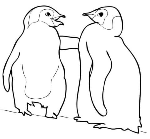 480x445 Emperor Penguin Babies Coloring Page Free Printable Coloring Pages
