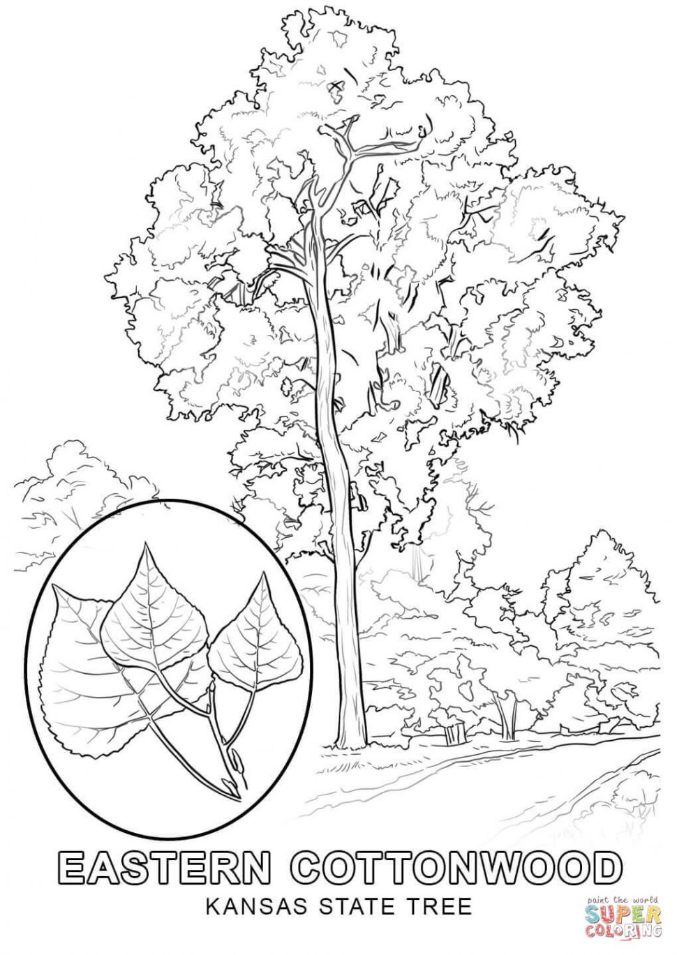 970x1369 Coloring Pages Coloring Pages Draw A Tree Georgia State Page