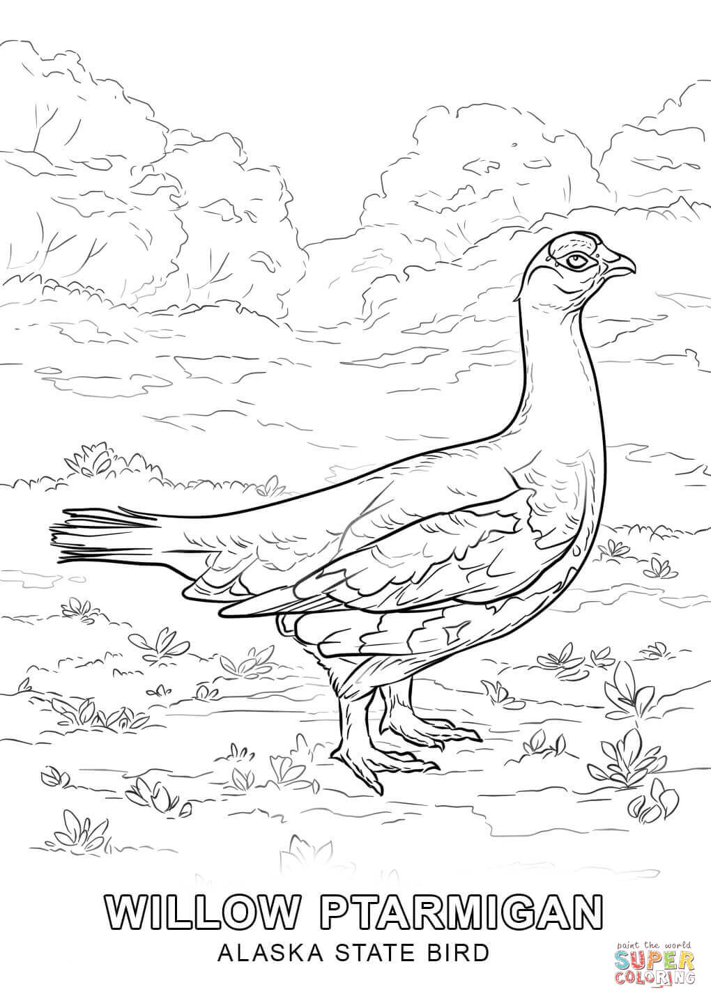 1020x1440 Alaska State Bird Coloring Page Free Printable Coloring Pages