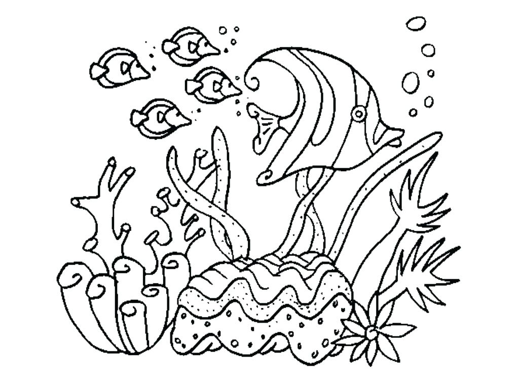 1024x768 Empty Fish Tank Coloring Page 5 Enchanting Pretty Background