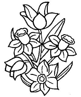 266x320 Pin By Millie Tim On Nature Drawing Nature Drawing