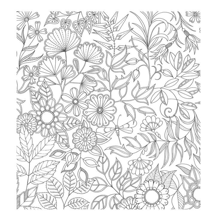 736x736 Image Result For Enchanted Forest Coloring Book Bullet Journal