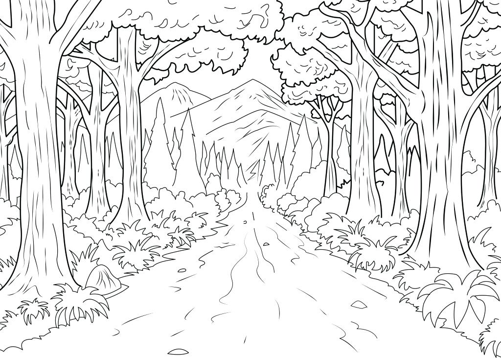 1024x731 Coloring Pages Forest