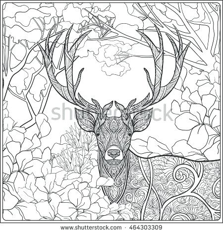 450x470 Best Forest Coloring Pages Print Enchanted Printable For Colouring