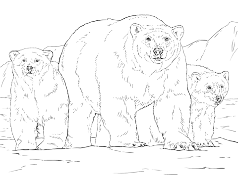 480x360 Endangered Animals Coloring Pages Free Printable Pictures