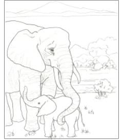 240x274 Free Download The Endangered Animals Coloring Book Ultimate