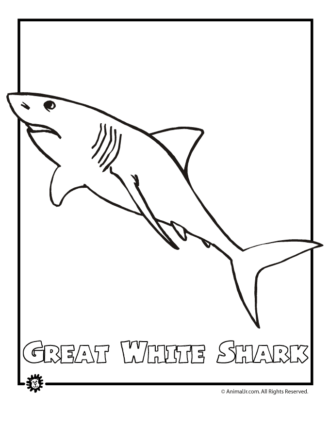 680x880 Great White Shark Endangered Animal Coloring Page Animal Jr.