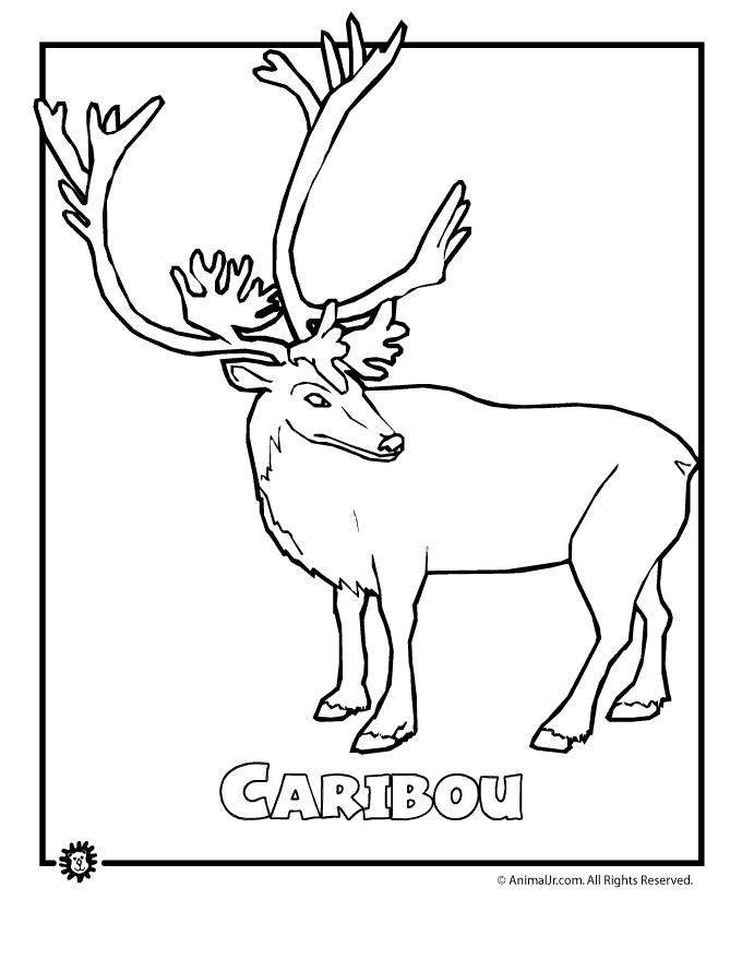 680x880 Endangered Caribou Animal Jr.
