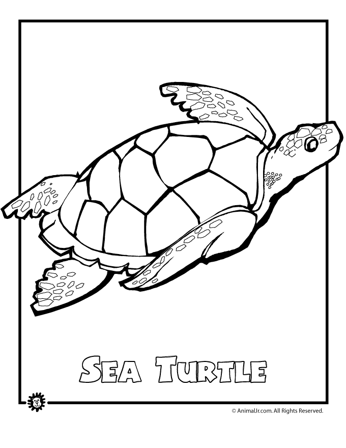 680x880 Endangered Animals Coloring Pages